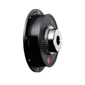 Flange Coupling